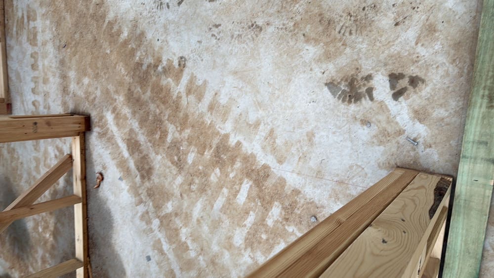 Within the lines, recorded during a frame inspection in Aintree